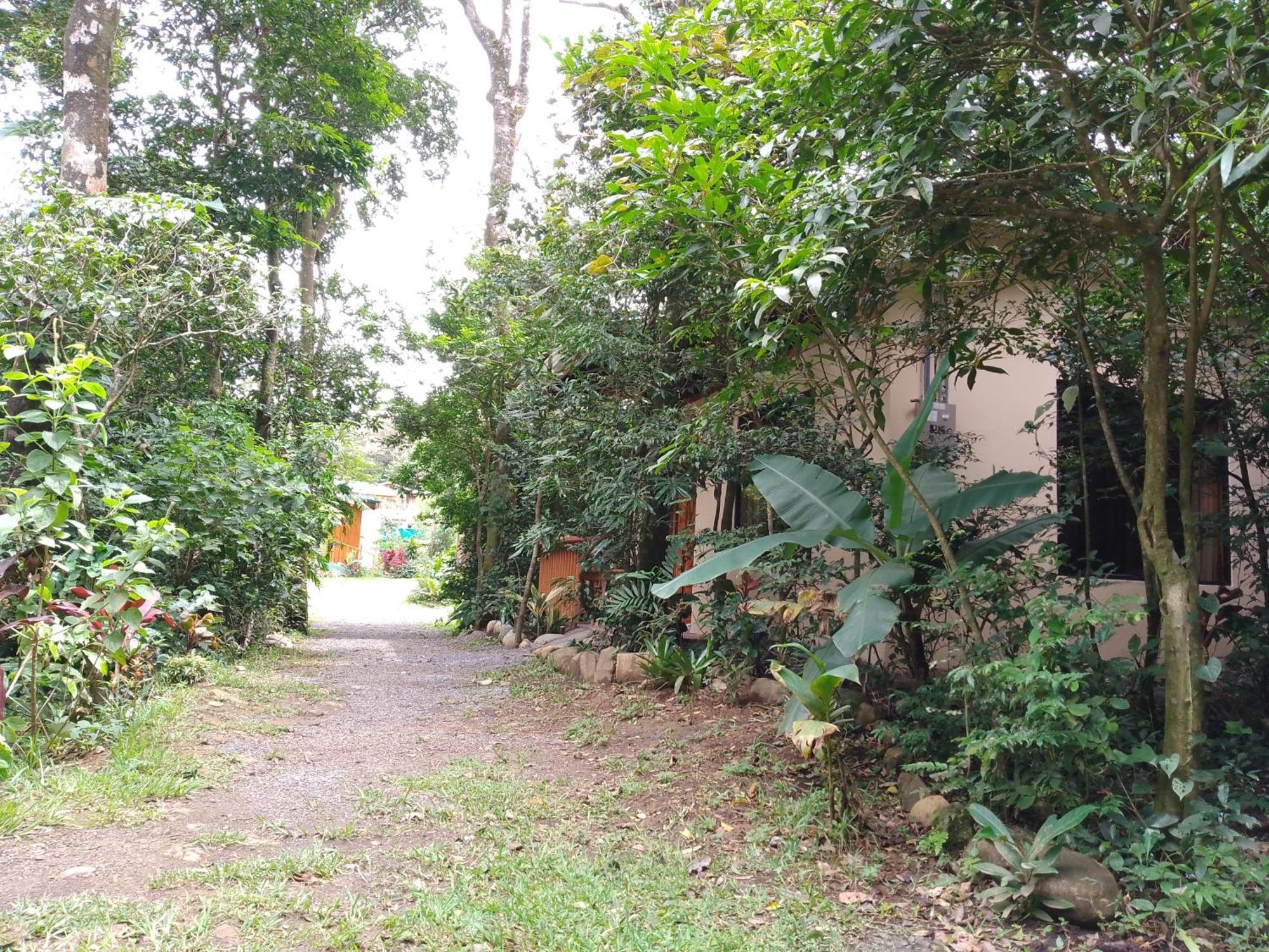 Casitas Del Bosque Monteverde. Room photo